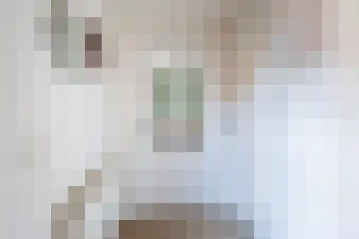 Thorbeckestraat 13 Ulft thumbnail 8