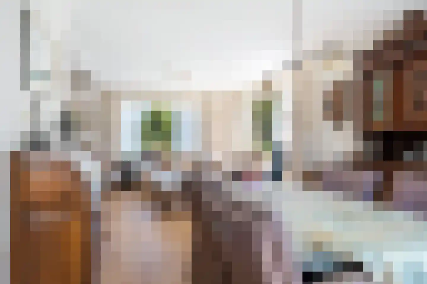 Thorbeckestraat 14 Marum thumbnail 13