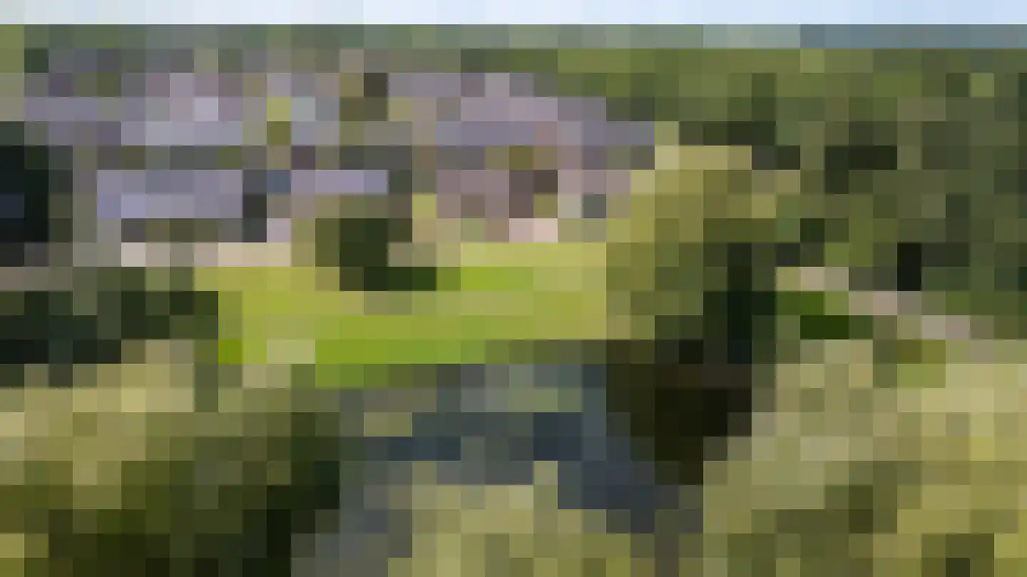 Thorbeckestraat 14 Marum thumbnail 5