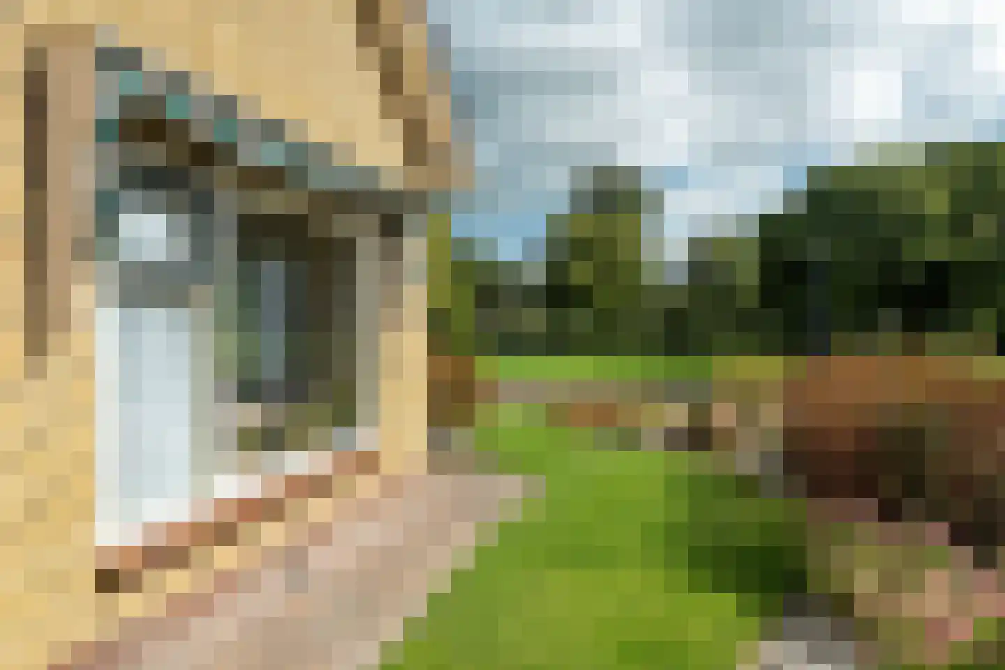 Thorbeckestraat 14 Marum thumbnail 8