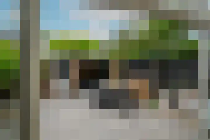 Thorbeckestraat 14 Naaldwijk thumbnail 12