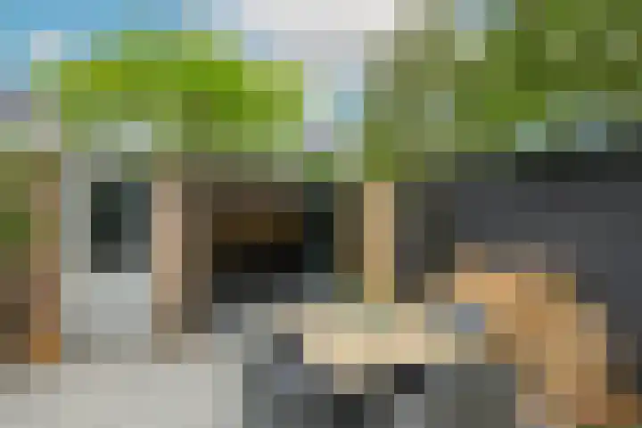 Thorbeckestraat 14 Naaldwijk thumbnail 13