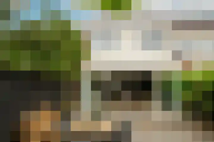 Thorbeckestraat 14 Naaldwijk thumbnail 15