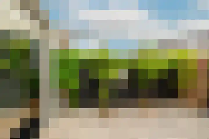 Thorbeckestraat 14 Naaldwijk thumbnail 16