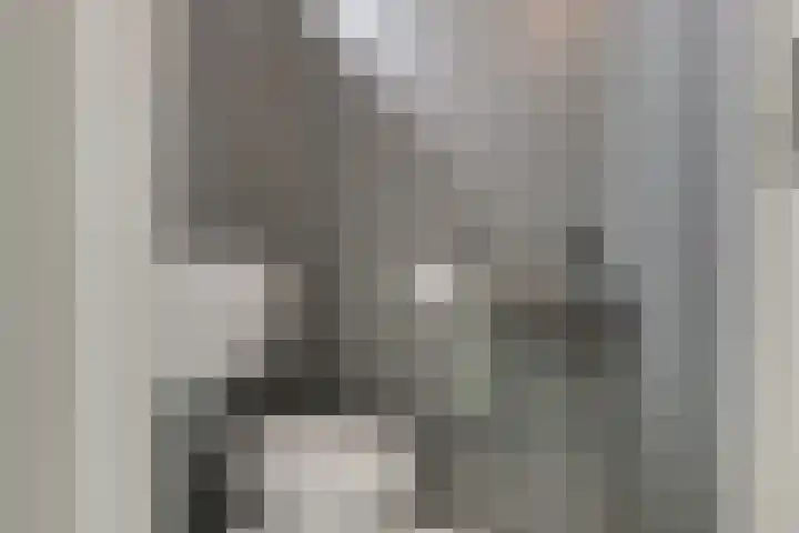 Thorbeckestraat 14 Naaldwijk thumbnail 18