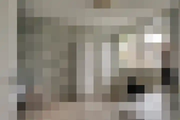 Thorbeckestraat 14 Naaldwijk thumbnail 24