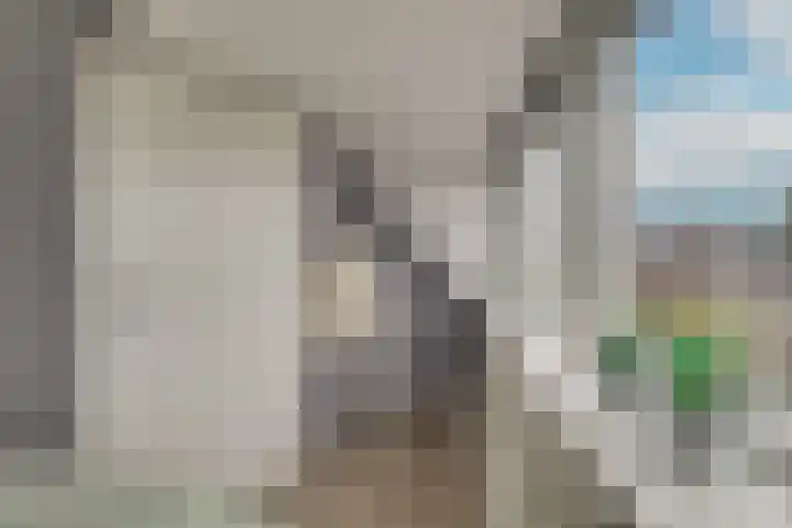 Thorbeckestraat 14 Naaldwijk thumbnail 33