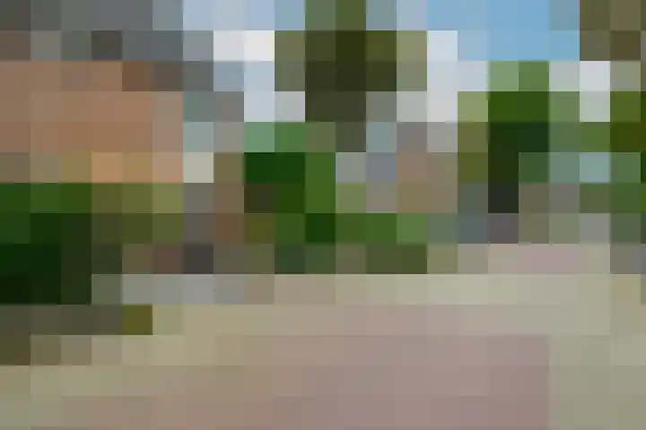 Thorbeckestraat 14 Naaldwijk thumbnail 37
