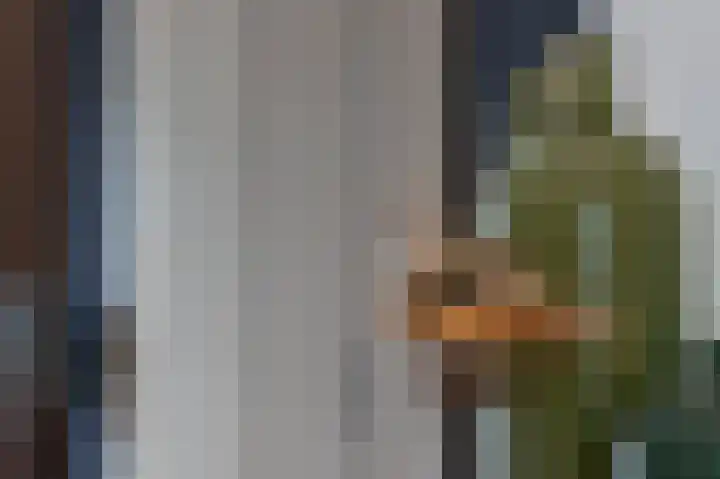 Thorbeckestraat 15 Steenwijk thumbnail 13