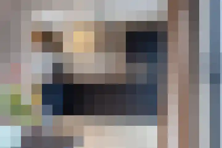 Thorbeckestraat 15 Steenwijk thumbnail 15
