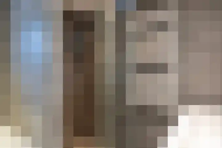 Thorbeckestraat 15 Steenwijk thumbnail 36