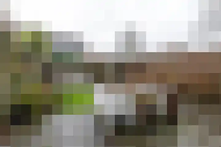 Thorbeckestraat 15 Steenwijk thumbnail 43