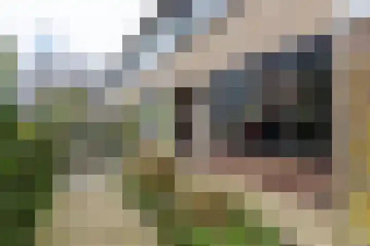 Thorbeckestraat 15 Steenwijk thumbnail 51