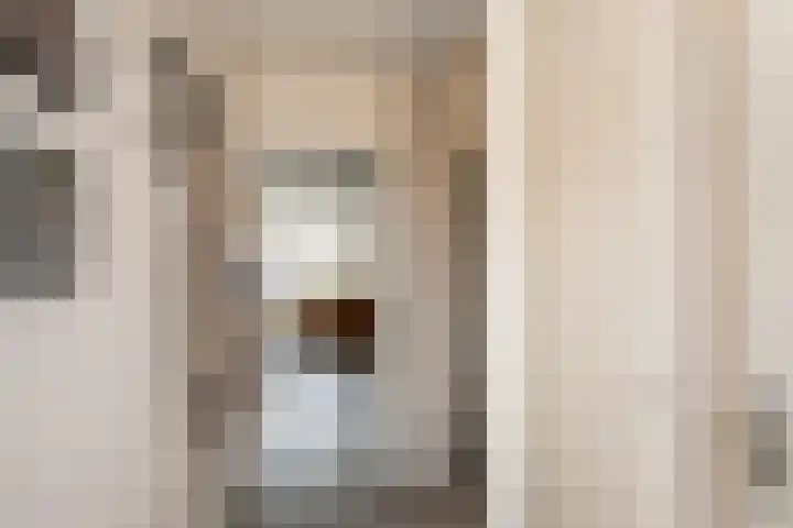 Thorbeckestraat 16 Naaldwijk thumbnail 18