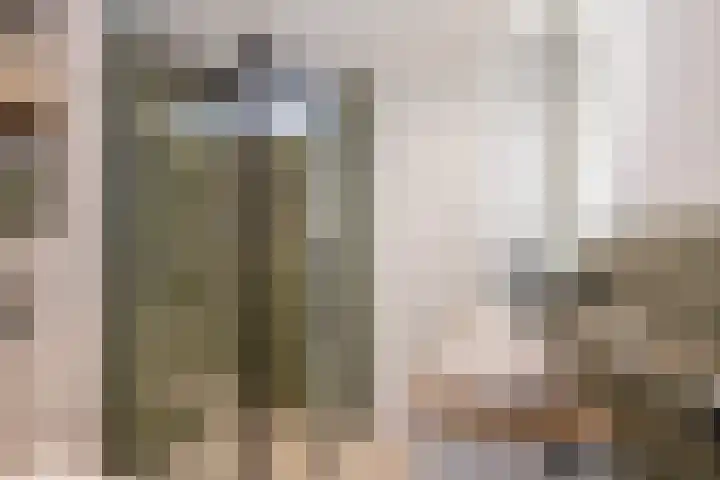 Thorbeckestraat 16 Naaldwijk thumbnail 4