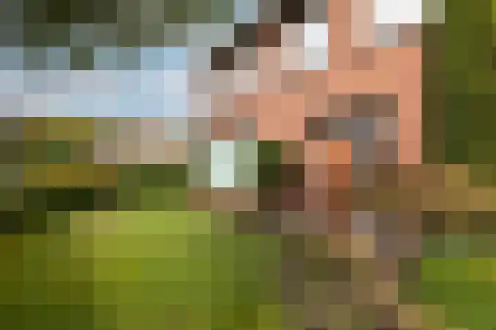 Thorbeckestraat 16 Zevenaar thumbnail 17