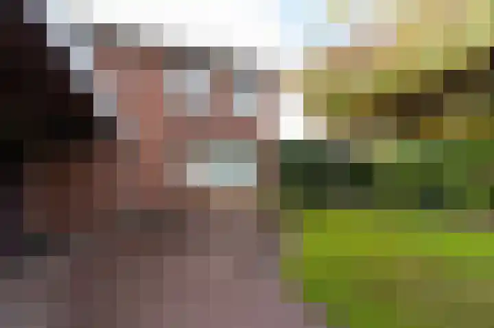 Thorbeckestraat 16 Zevenaar thumbnail 57