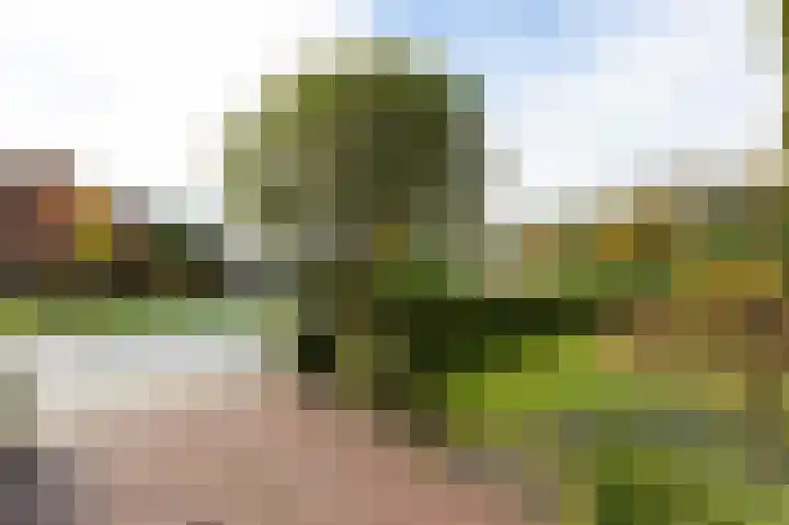 Thorbeckestraat 16 Zevenaar thumbnail 63