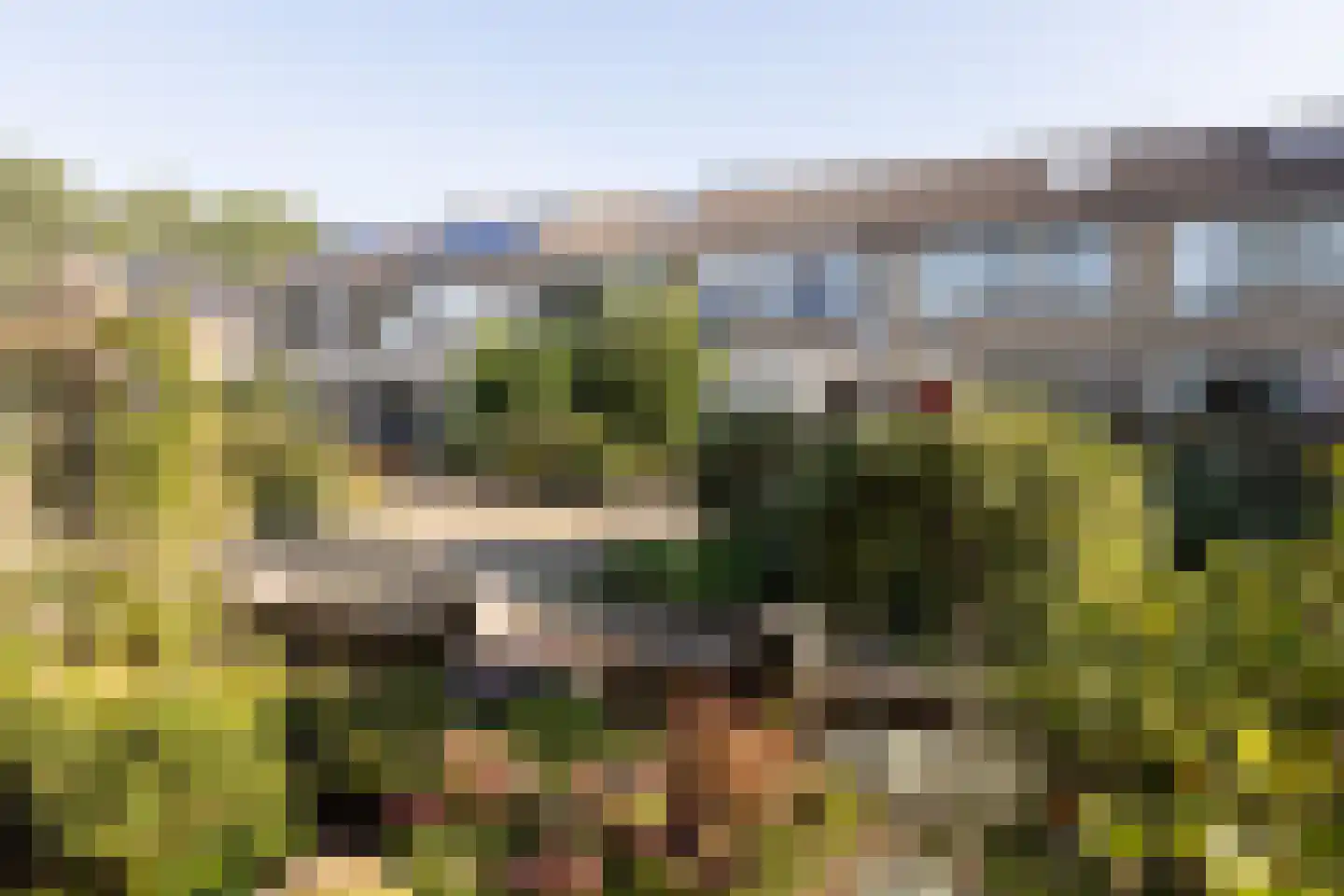 Thorbeckestraat 17 Groenlo thumbnail 39