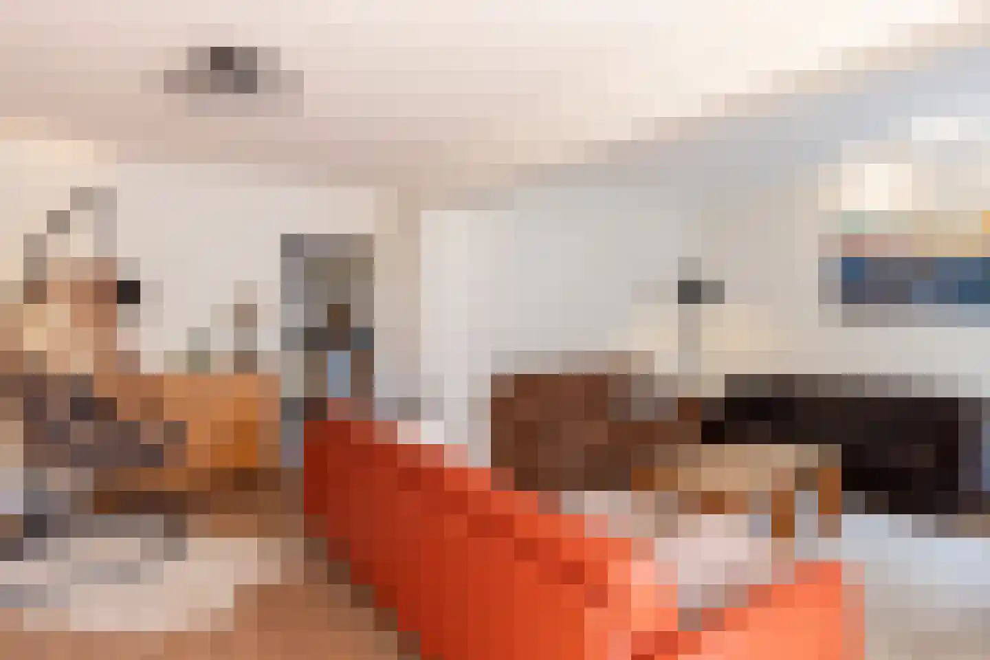 Thorbeckestraat 17 Groenlo thumbnail 5