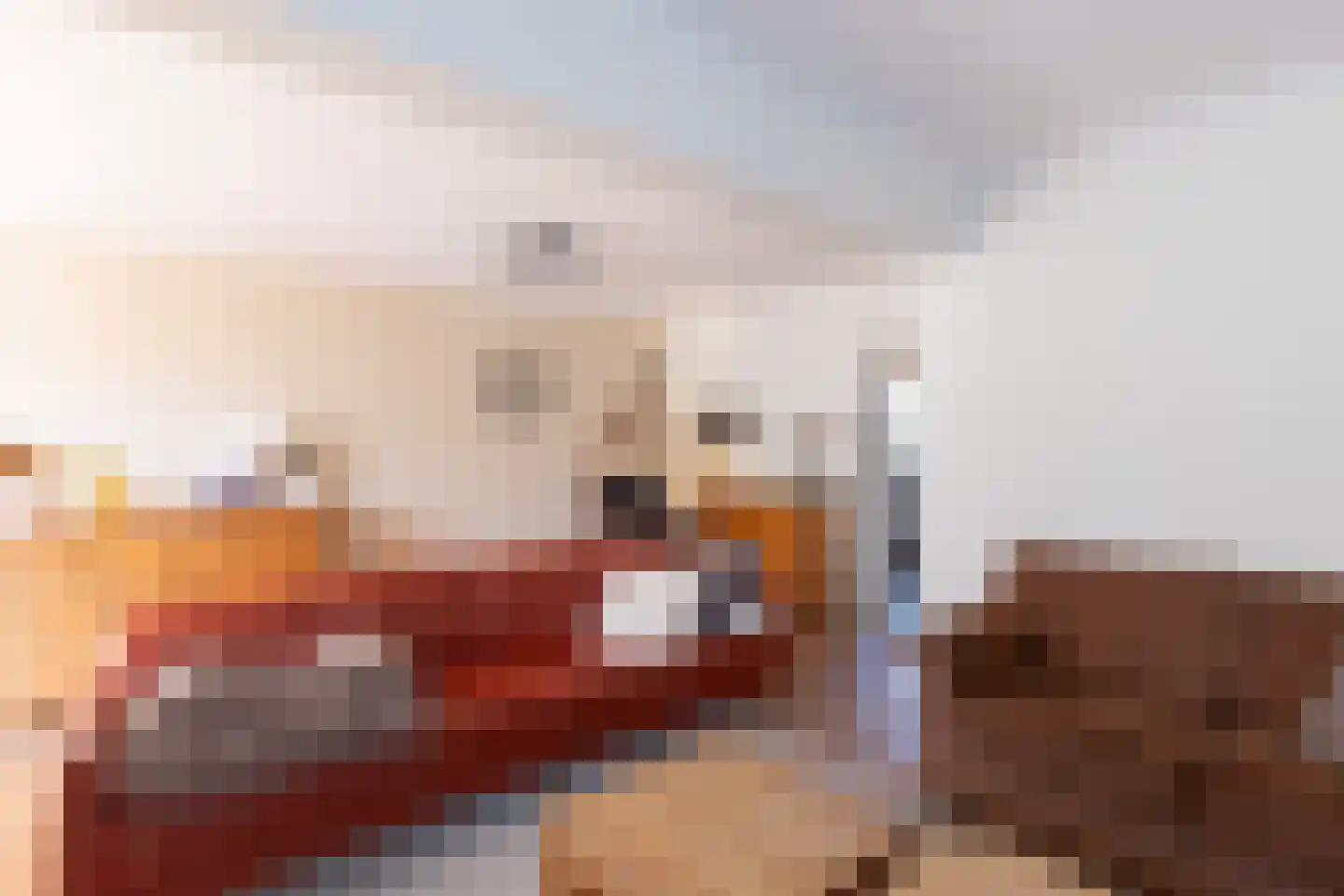 Thorbeckestraat 17 Groenlo thumbnail 6