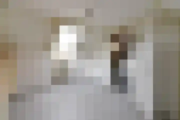 Thorbeckestraat 18 Huizen thumbnail 14