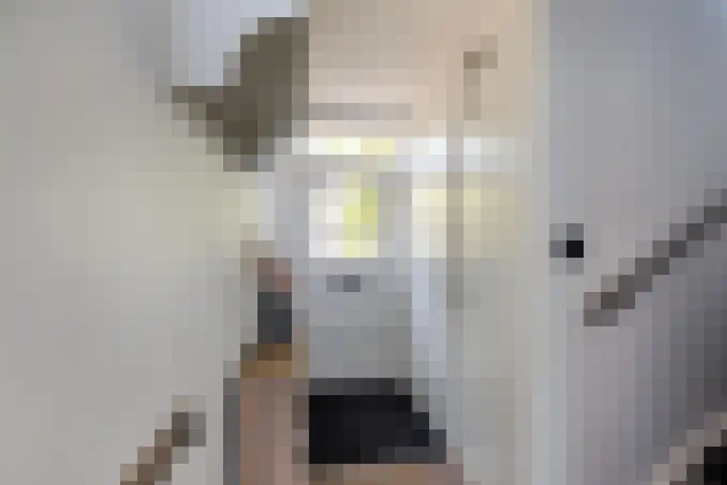 Thorbeckestraat 18 Naaldwijk thumbnail 18