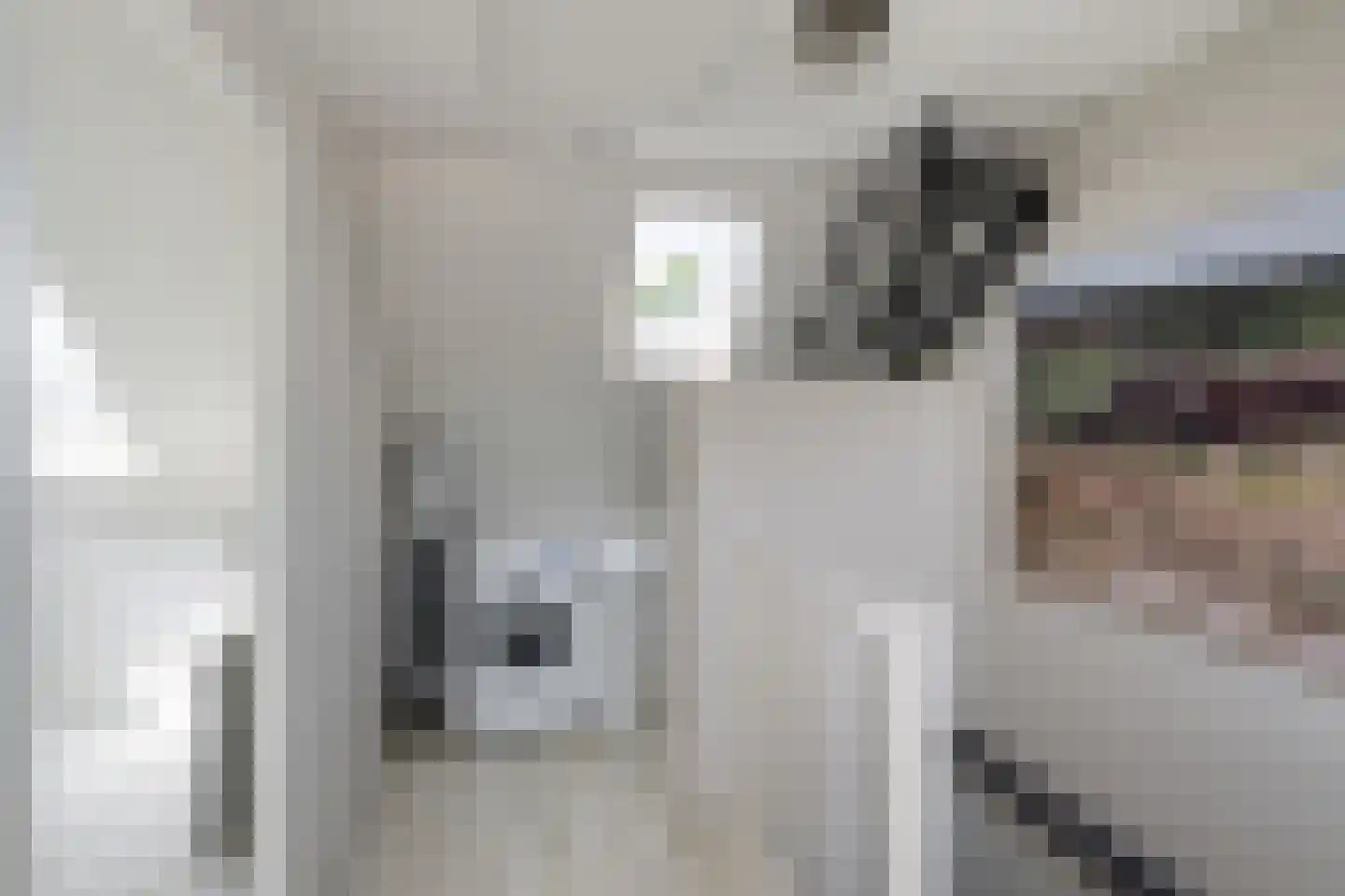 Thorbeckestraat 18 Naaldwijk thumbnail 32