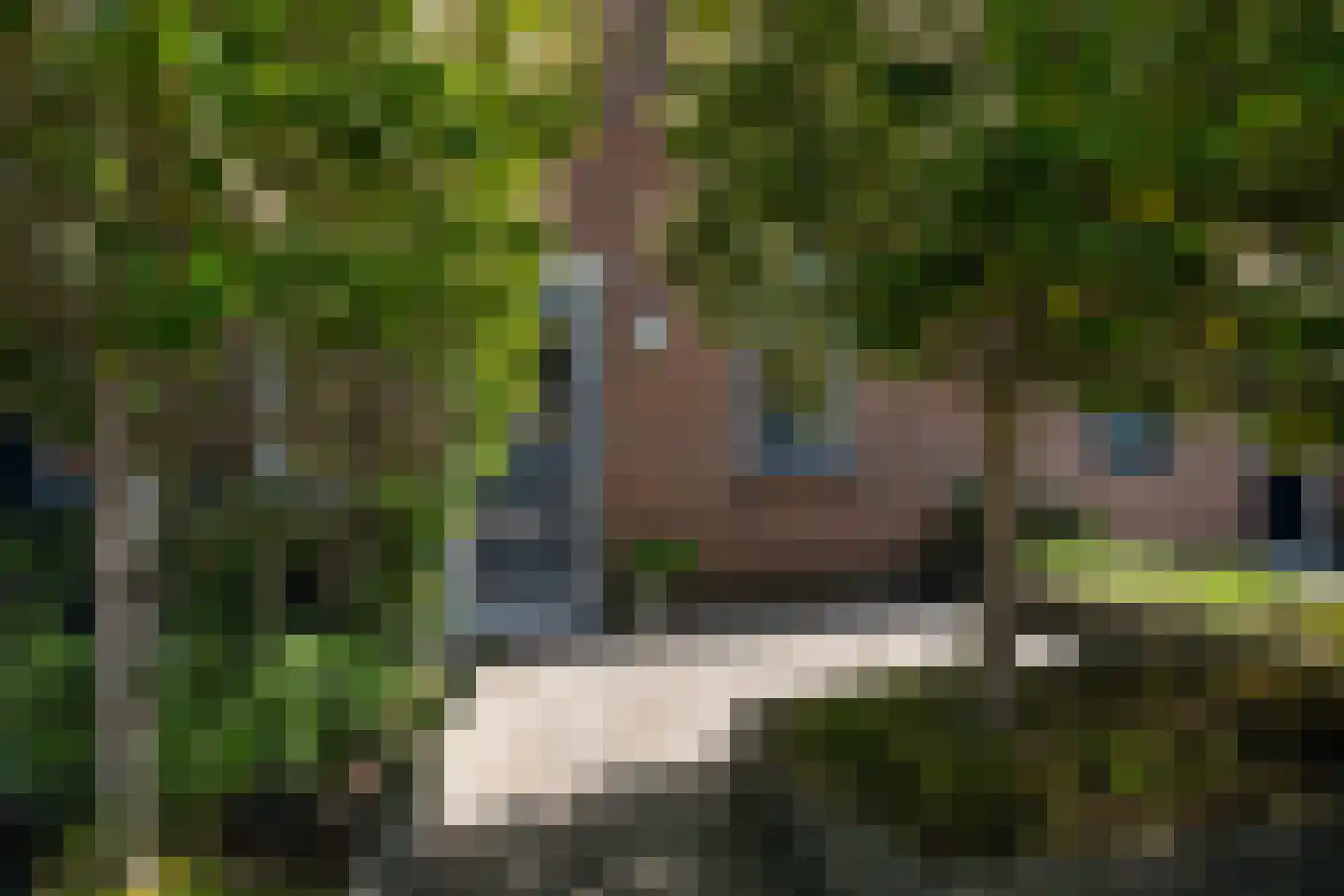 Thorbeckestraat 18 Naaldwijk thumbnail 33