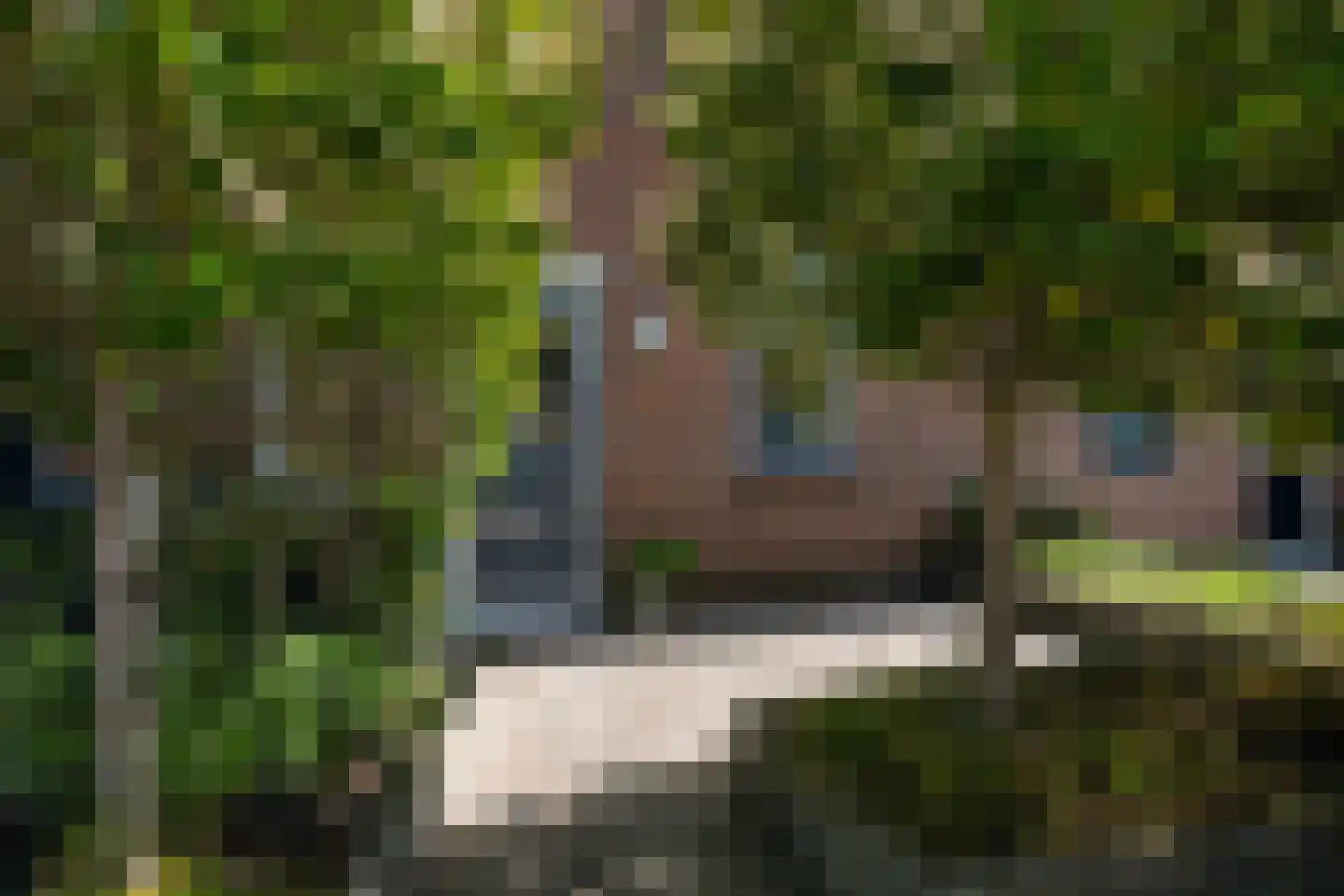 Thorbeckestraat 18 Naaldwijk thumbnail 33