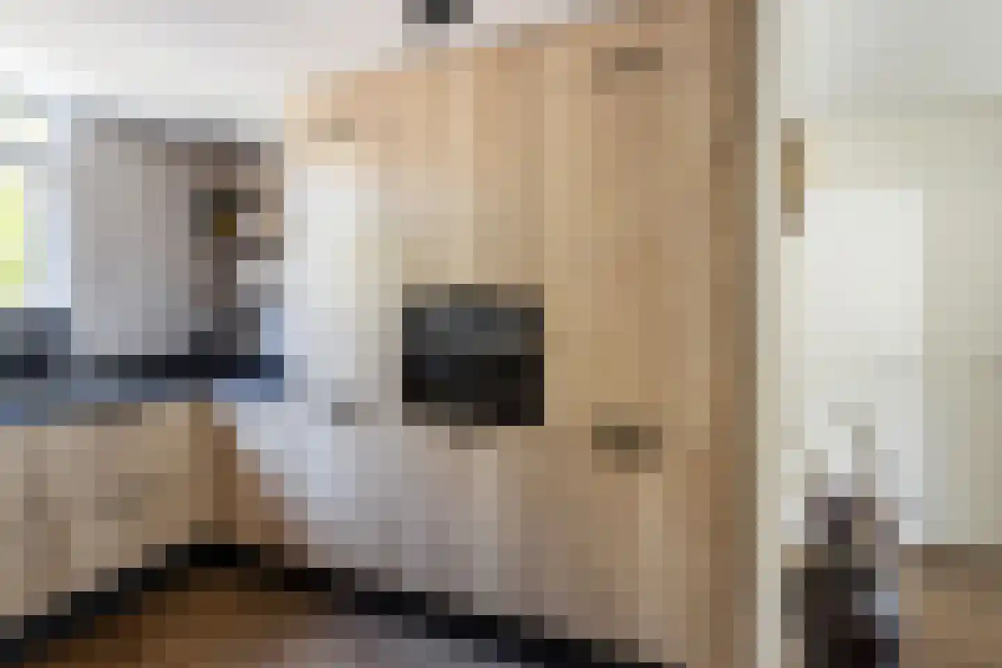 Thorbeckestraat 18 Naaldwijk thumbnail 8