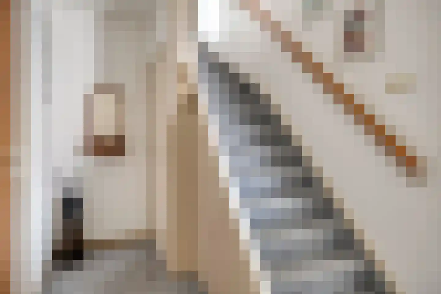 Thorbeckestraat 18 Oss thumbnail 13