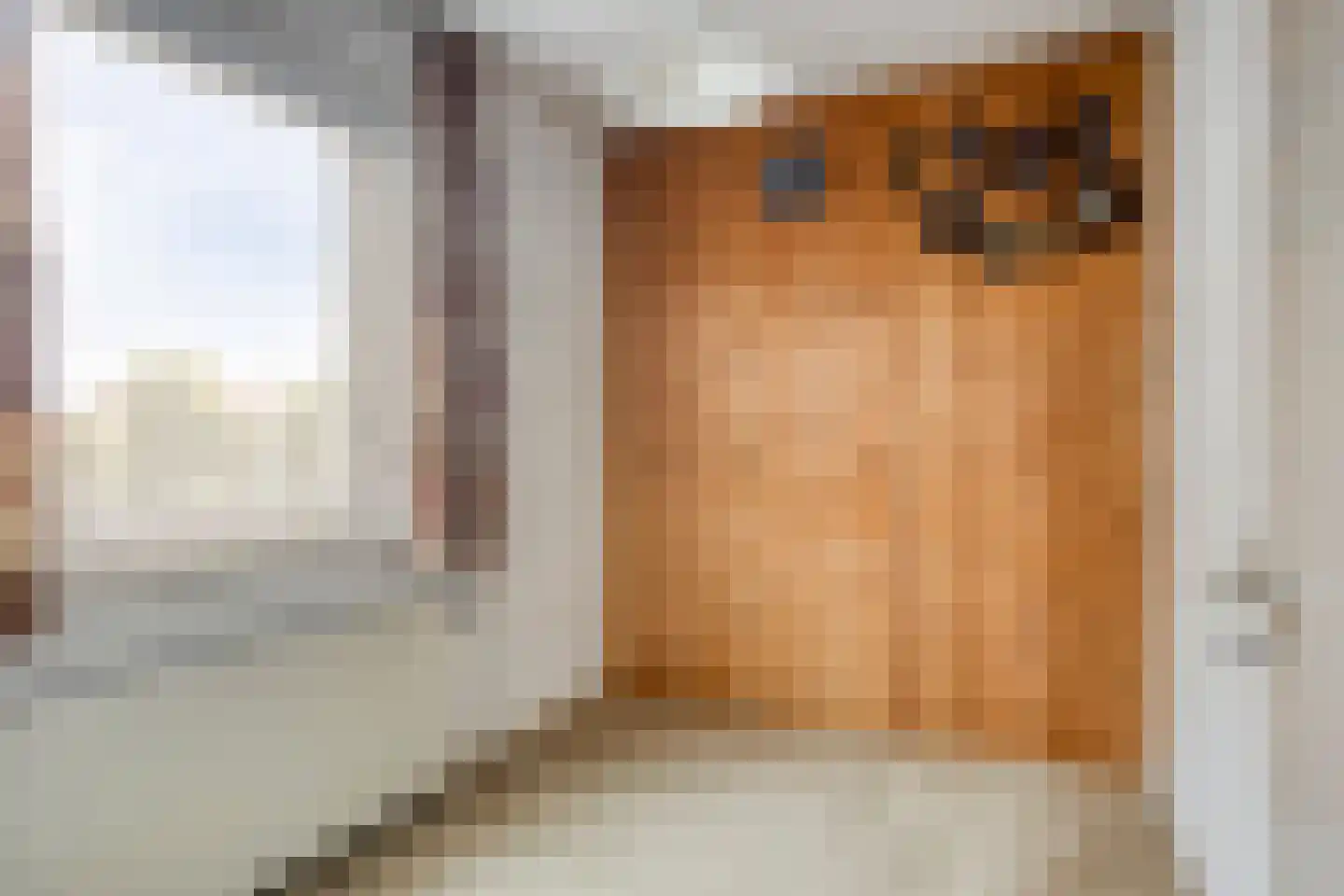Thorbeckestraat 18 Oss thumbnail 19
