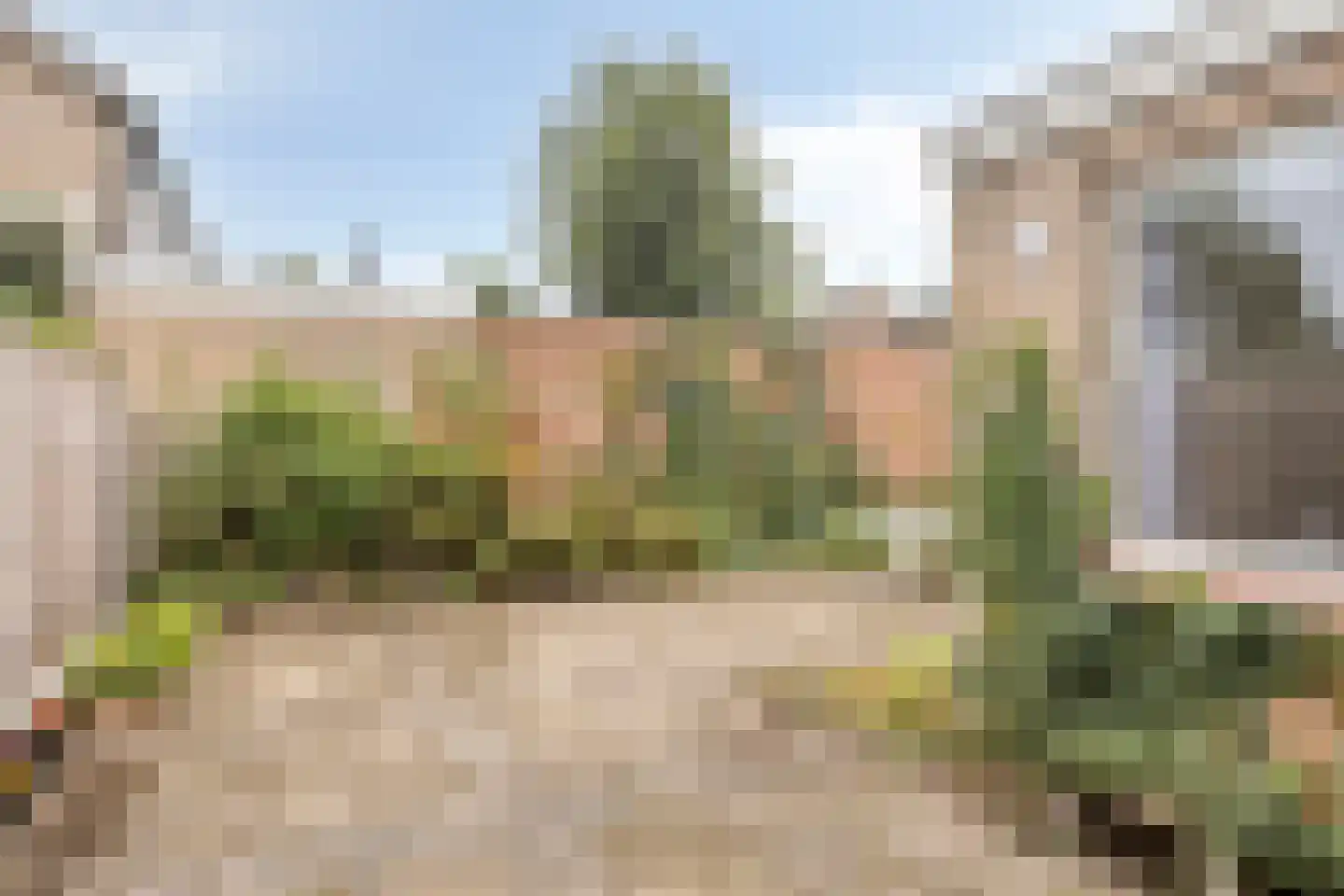 Thorbeckestraat 18 Oss thumbnail 4