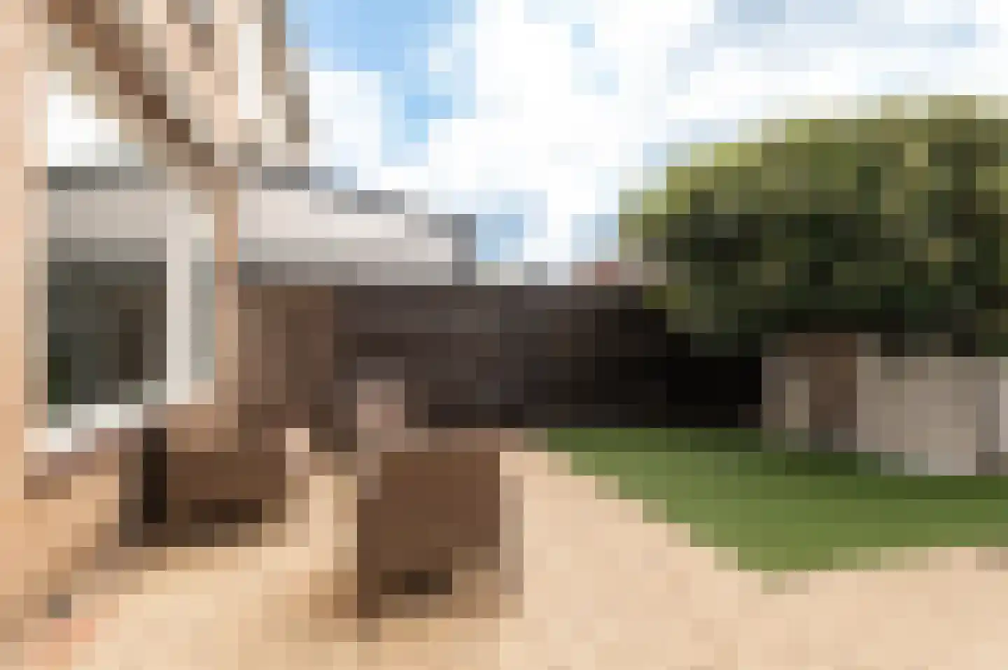 Thorbeckestraat 19 Culemborg thumbnail 17