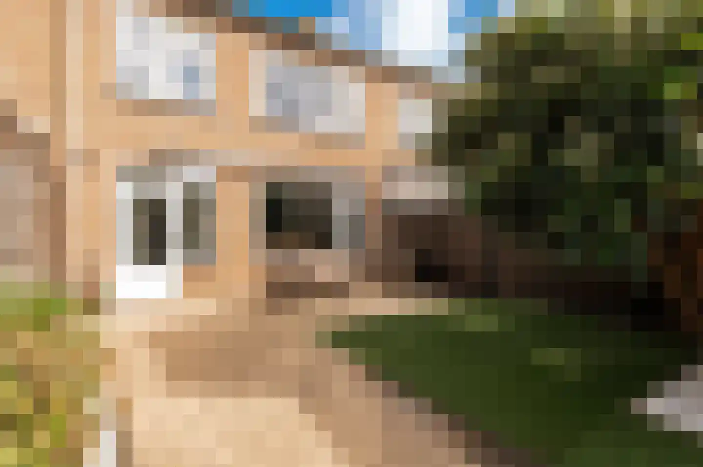 Thorbeckestraat 19 Culemborg thumbnail 19