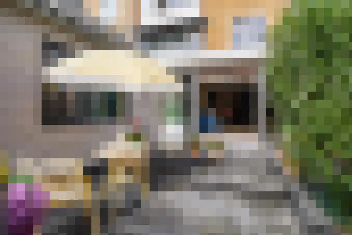 Thorbeckestraat 19 Zandvoort thumbnail 13