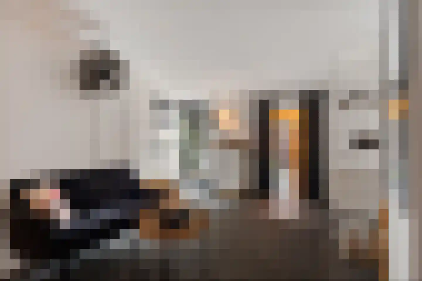 Thorbeckestraat 19 Zandvoort thumbnail 19