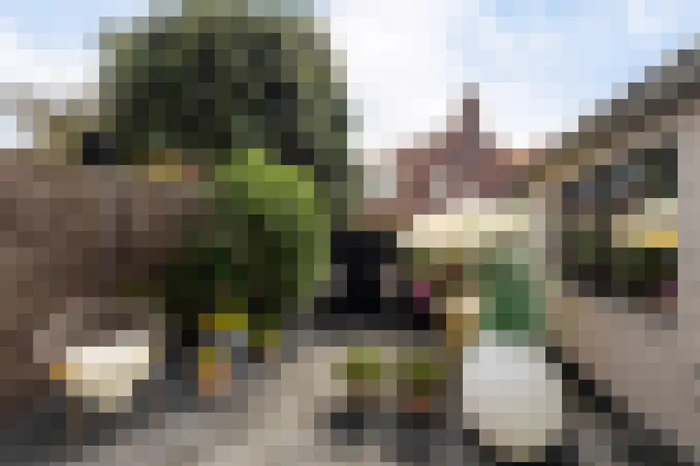 Thorbeckestraat 19 Zandvoort thumbnail 5