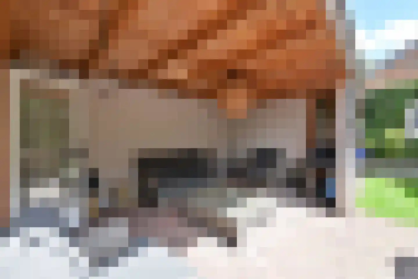 Thorbeckestraat 21 Huizen thumbnail 12