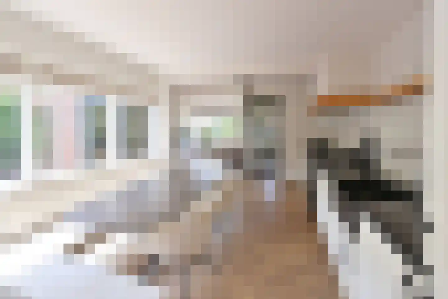Thorbeckestraat 21 Huizen thumbnail 6