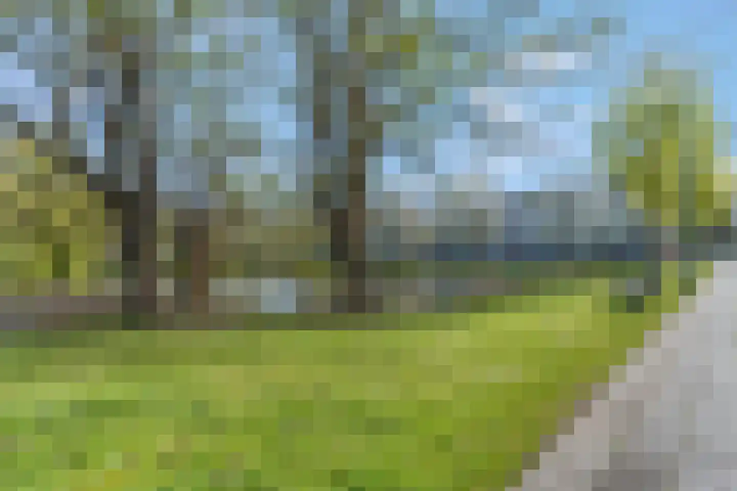 Thorbeckestraat 214 Wageningen thumbnail 29