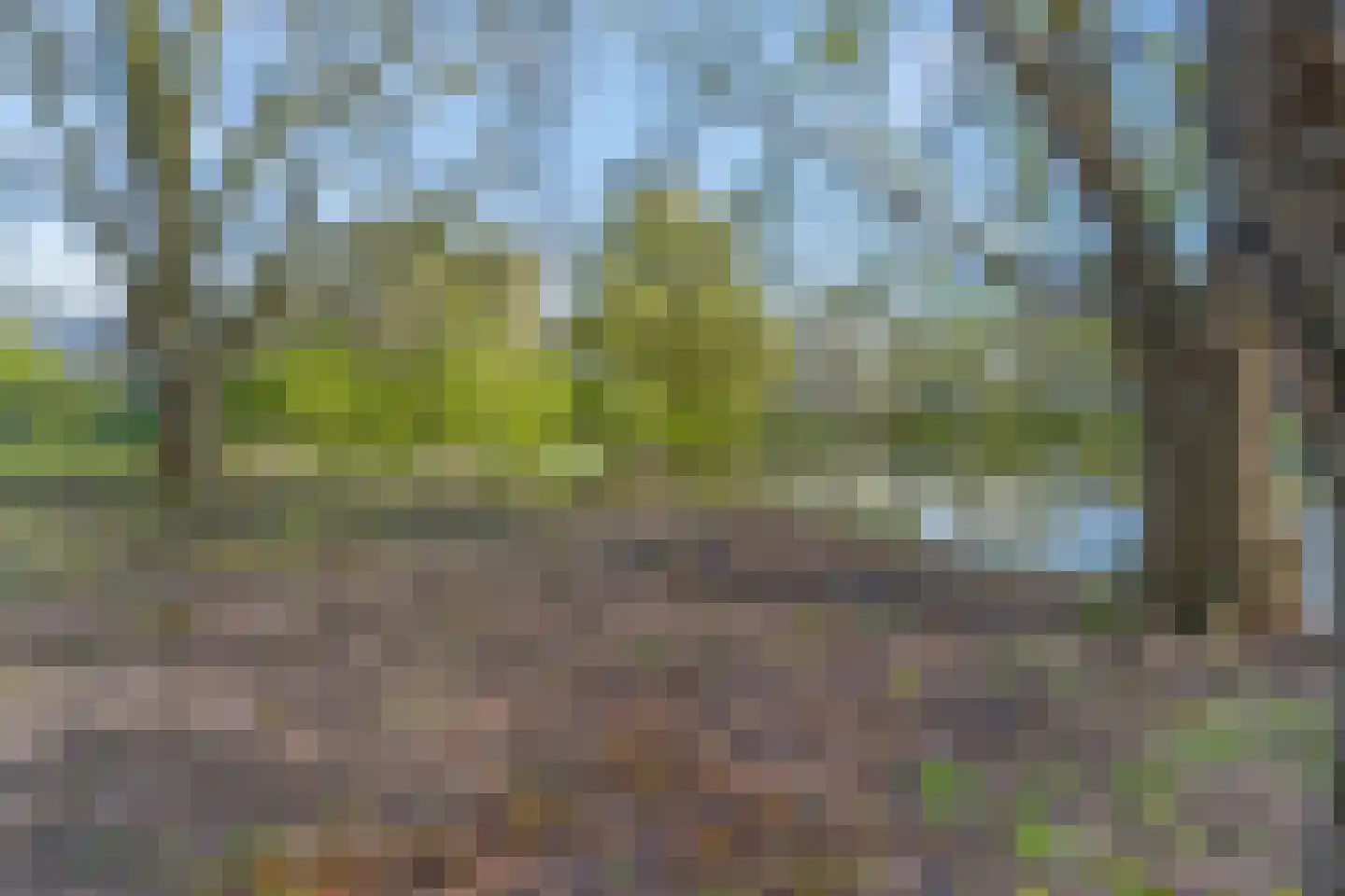 Thorbeckestraat 214 Wageningen thumbnail 30