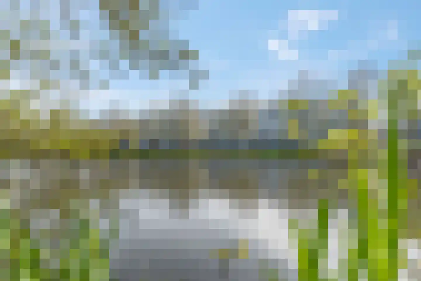 Thorbeckestraat 214 Wageningen thumbnail 31