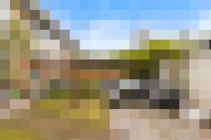 Thorbeckestraat 22 Culemborg thumbnail 33