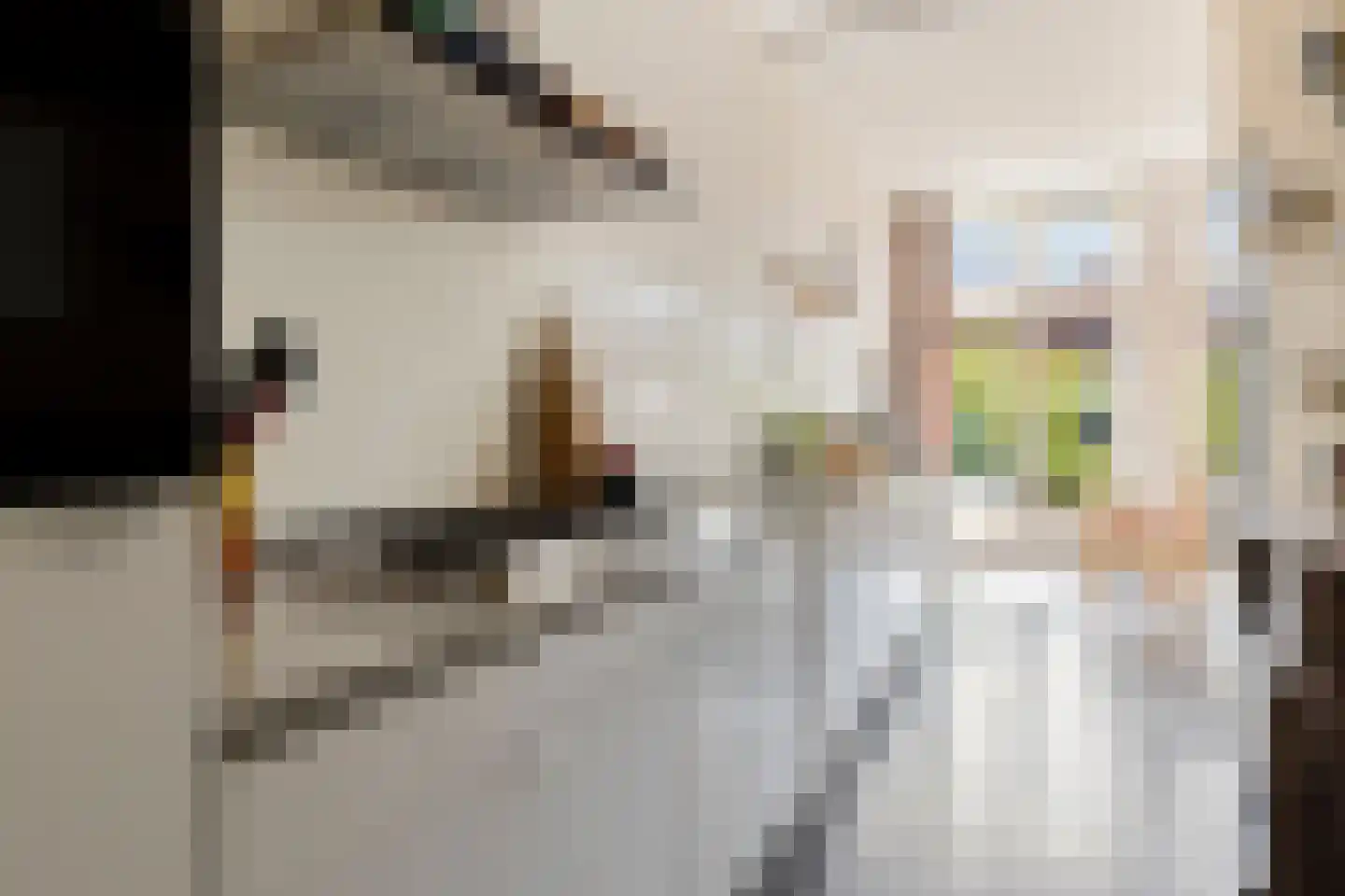 Thorbeckestraat 22 Leiden thumbnail 30