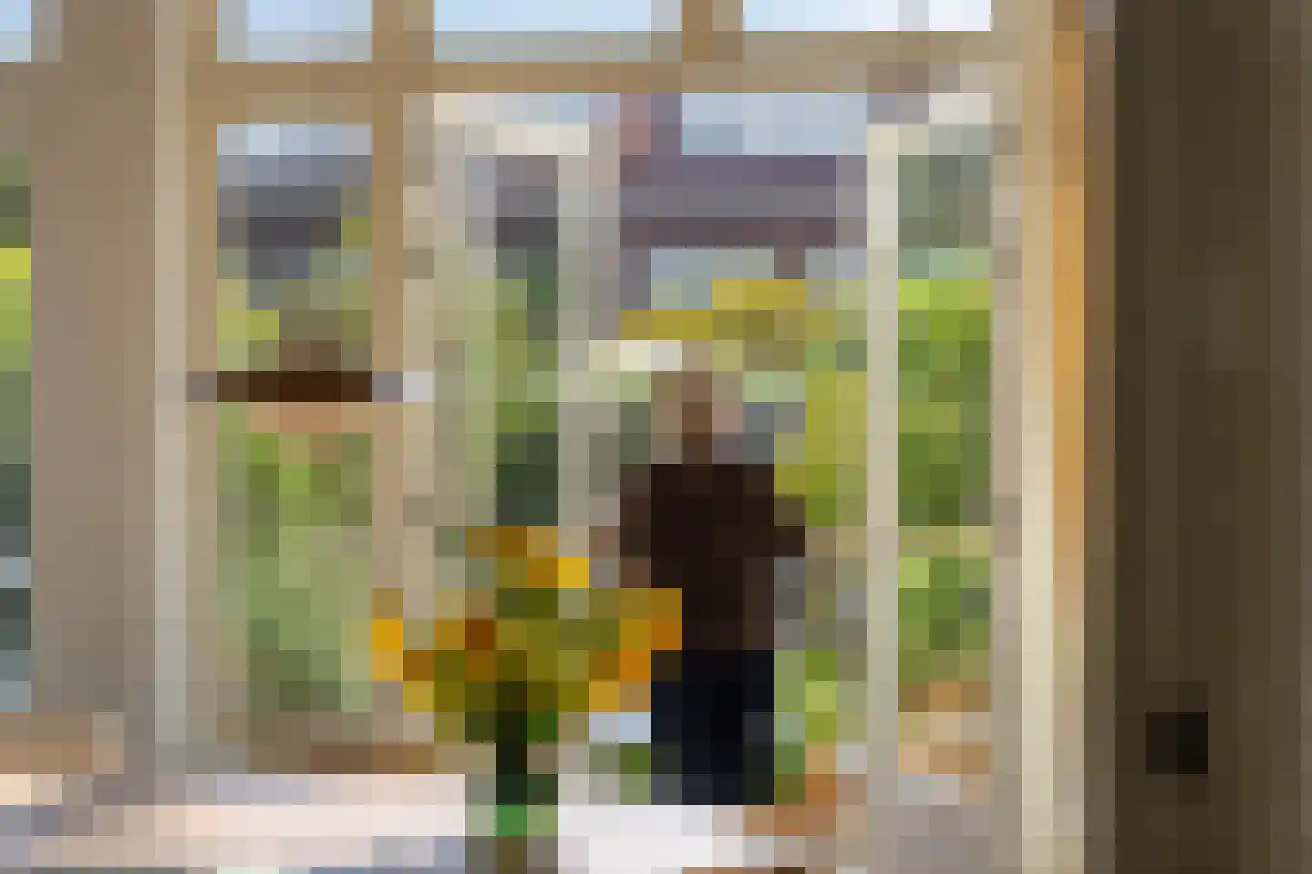 Thorbeckestraat 22 Leiden thumbnail 33