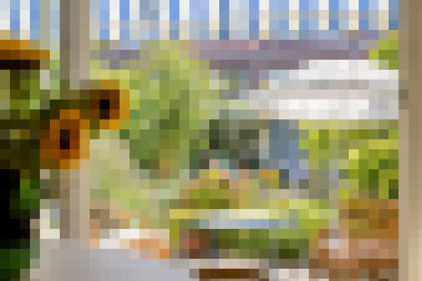 Thorbeckestraat 22 Leiden thumbnail 35