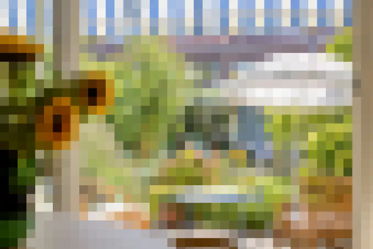 Thorbeckestraat 22 Leiden thumbnail 4