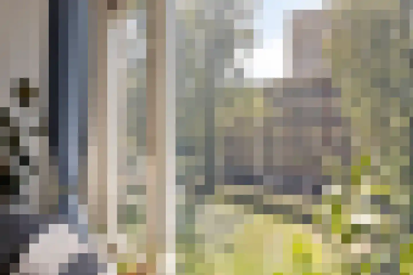 Thorbeckestraat 22 Wageningen thumbnail 12